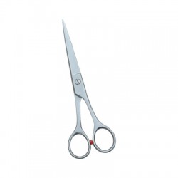 Barber and Dressing Scissors